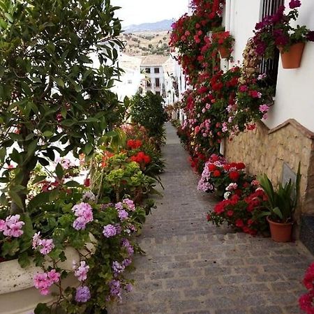 Casa De Las Flores - A Picture Perfect Location! El Gastor Luaran gambar