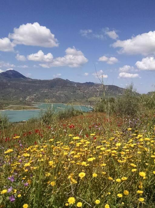 Casa De Las Flores - A Picture Perfect Location! El Gastor Luaran gambar