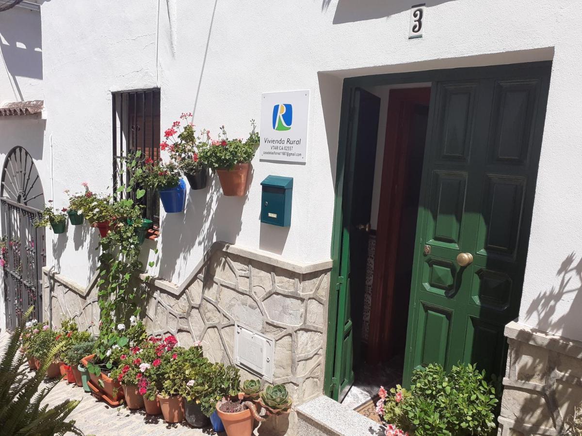 Casa De Las Flores - A Picture Perfect Location! El Gastor Luaran gambar