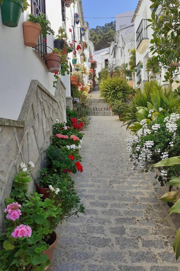 Casa De Las Flores - A Picture Perfect Location! El Gastor Luaran gambar