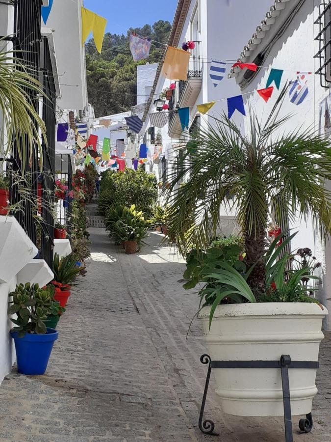 Casa De Las Flores - A Picture Perfect Location! El Gastor Luaran gambar