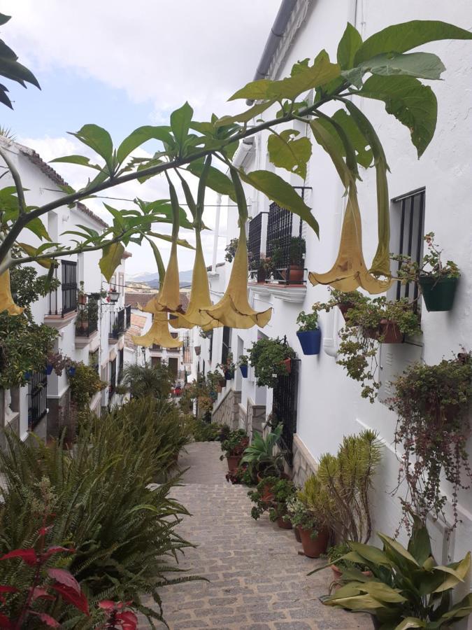 Casa De Las Flores - A Picture Perfect Location! El Gastor Luaran gambar