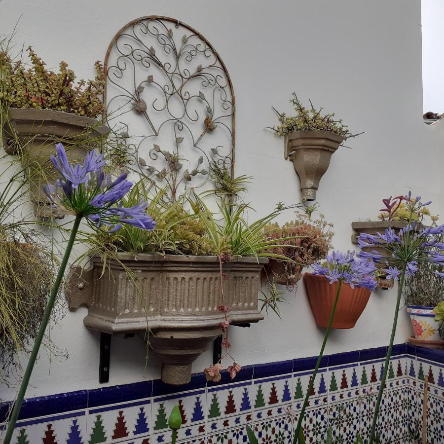 Casa De Las Flores - A Picture Perfect Location! El Gastor Luaran gambar