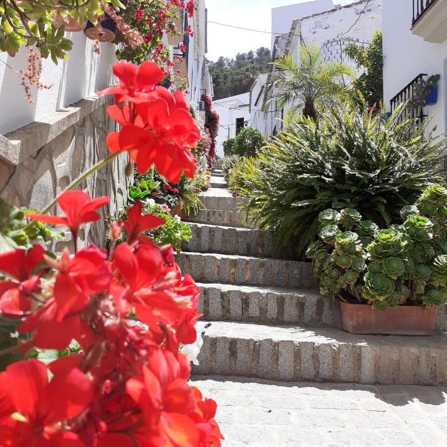 Casa De Las Flores - A Picture Perfect Location! El Gastor Luaran gambar